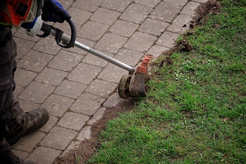 An electric rotary lawn edger in action