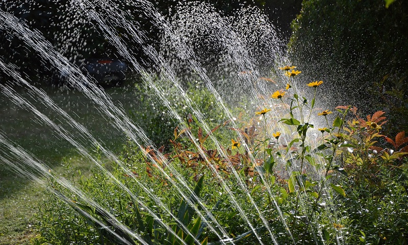 A sprinkler spraying a garden
