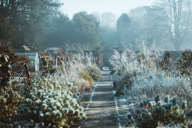 a frosty winter garden with a path running through it