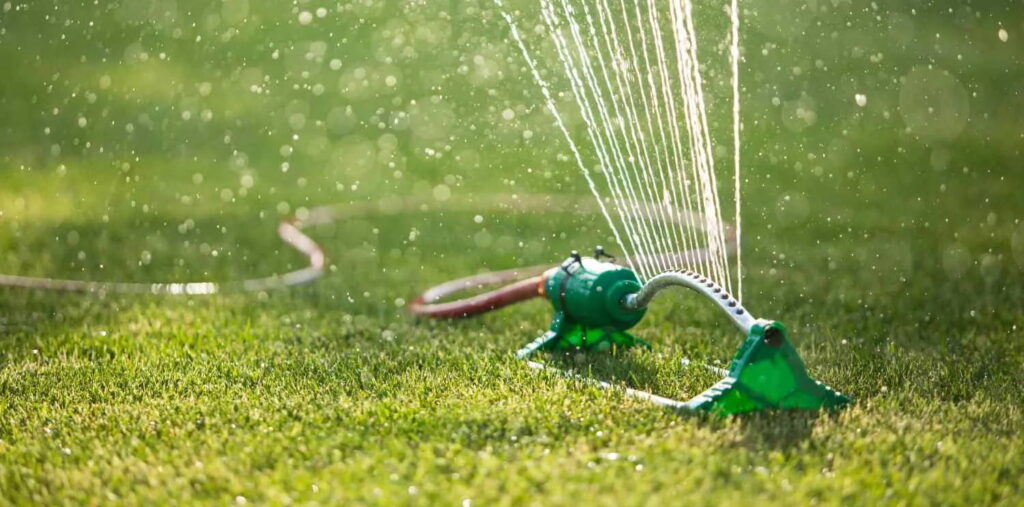 A garden sprinkler on a green lawn