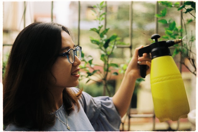 A woman spraying a plant with a mister. 