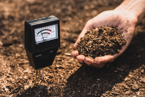measuring the soil's acidity