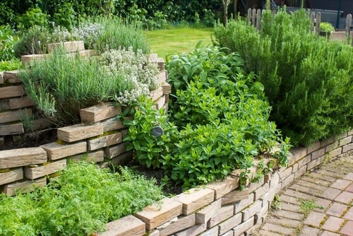 A rockery style herb garden