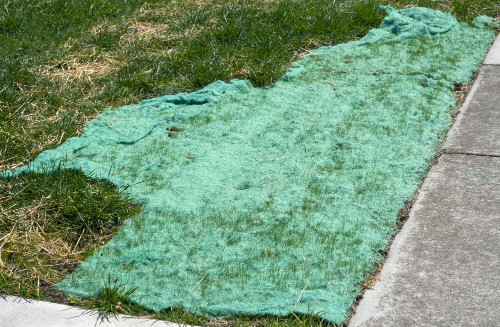 What are Grass Seed Mats (and are they a good solution)?