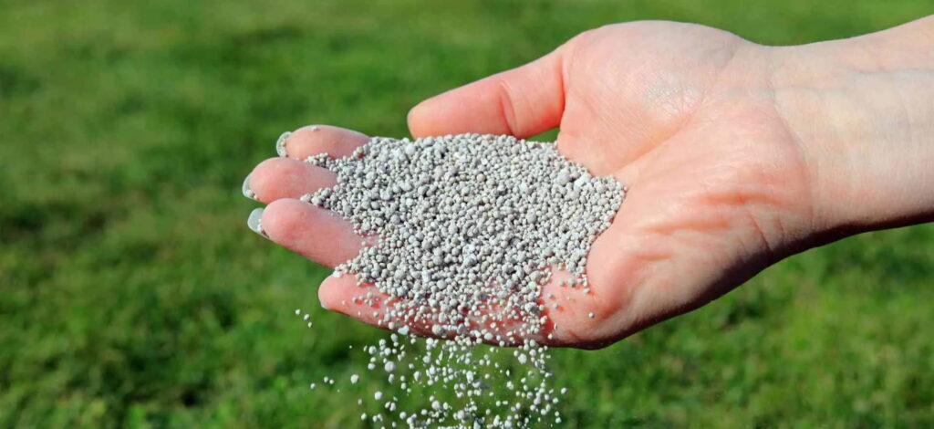 npk fertiliser in hand