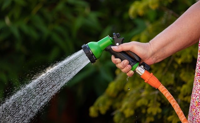 Watering hose