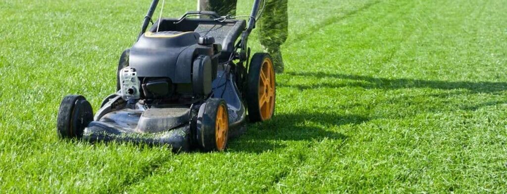 mowing the lawn