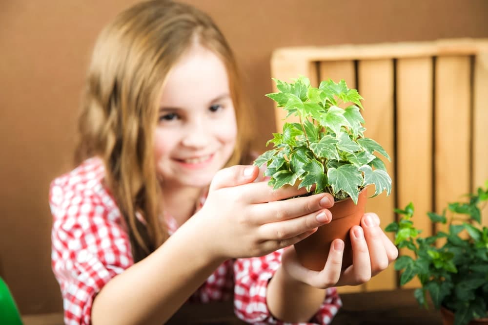 Child holding ivy planting pot