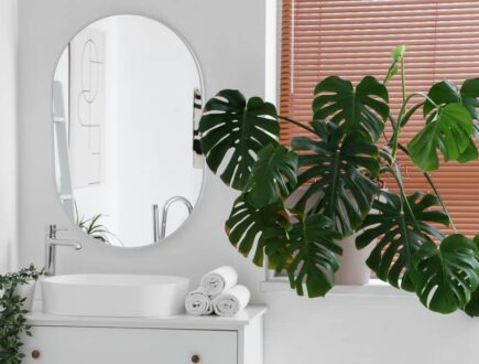 Bathroom plants