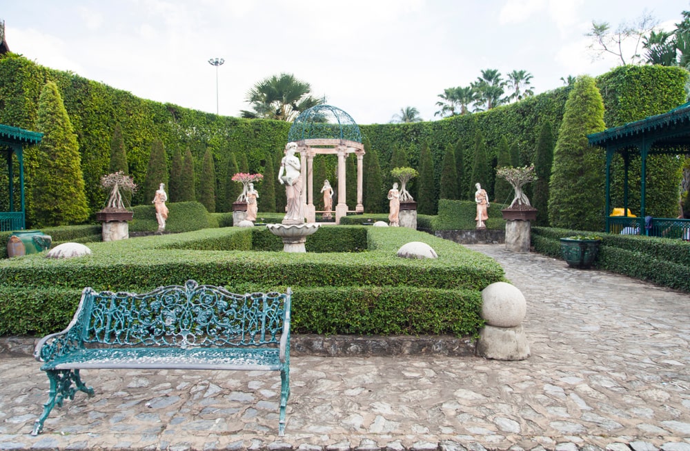 Italian Cypress trees in a garden