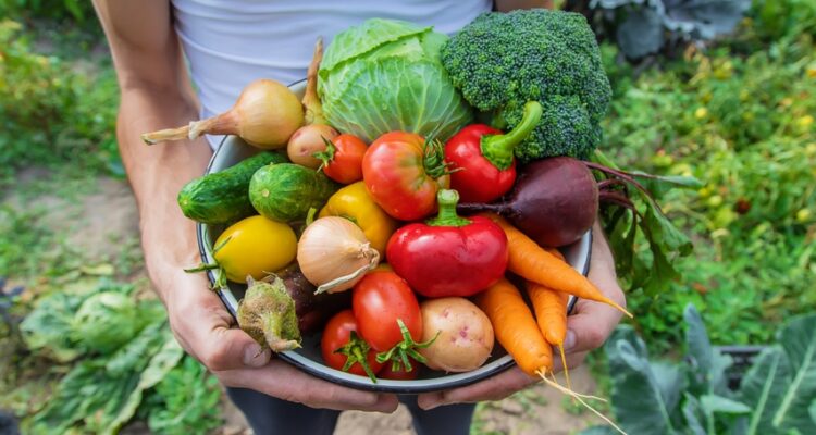 Companion Planting Made Easy: A Step-by-Step Tutorial | MOOWY