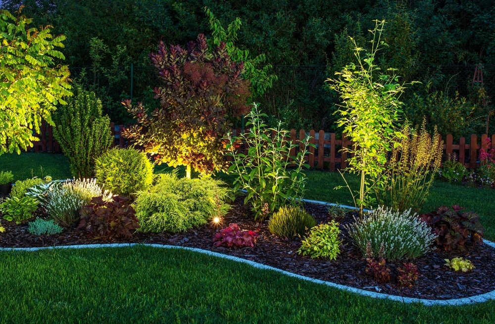 A well lit garden during dusk