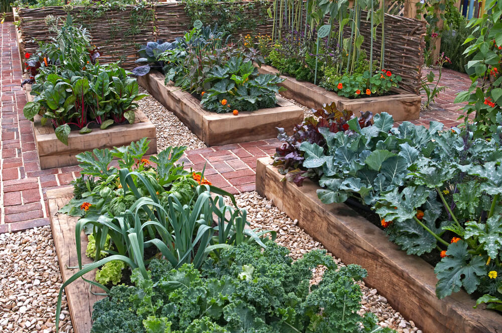 Garden trend: edible garden