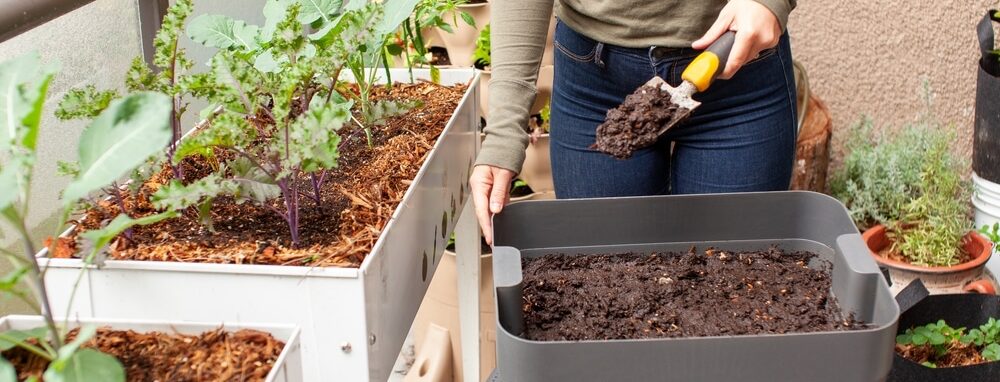 Worm composting bin