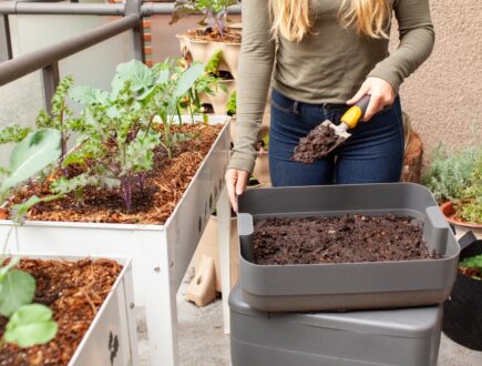 Worm composting bin