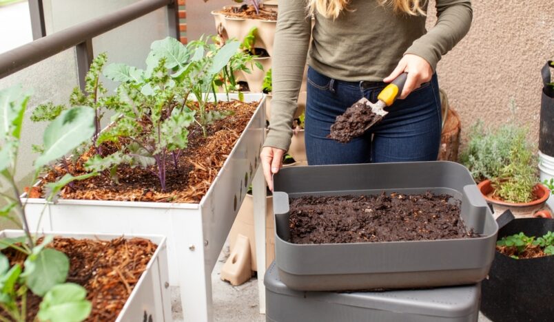 Worm composting bin