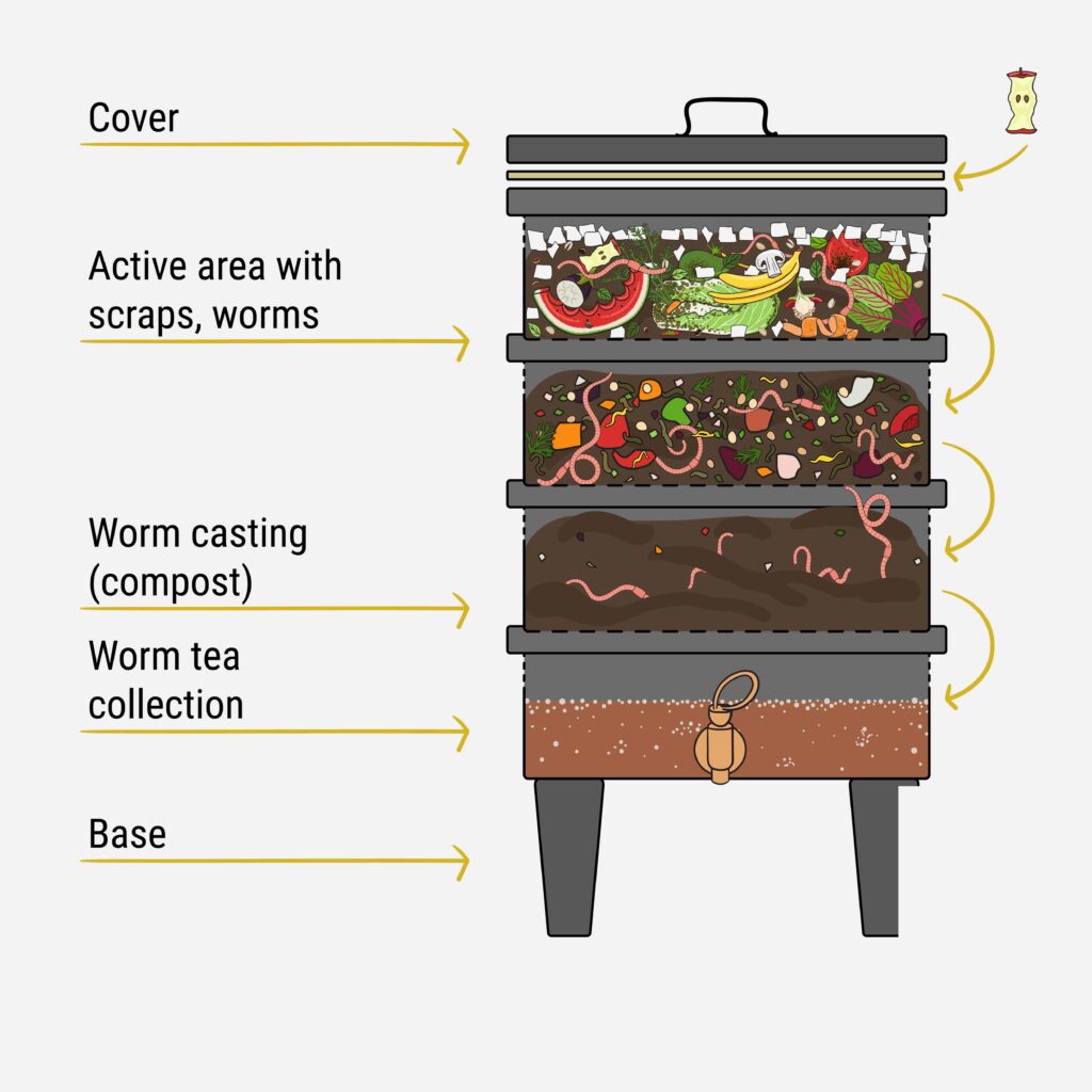 Worm composting bin