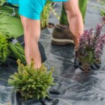 Weed Control Membrane in Garden 2 (web-ready)