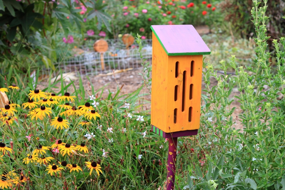 Butterfly hotel