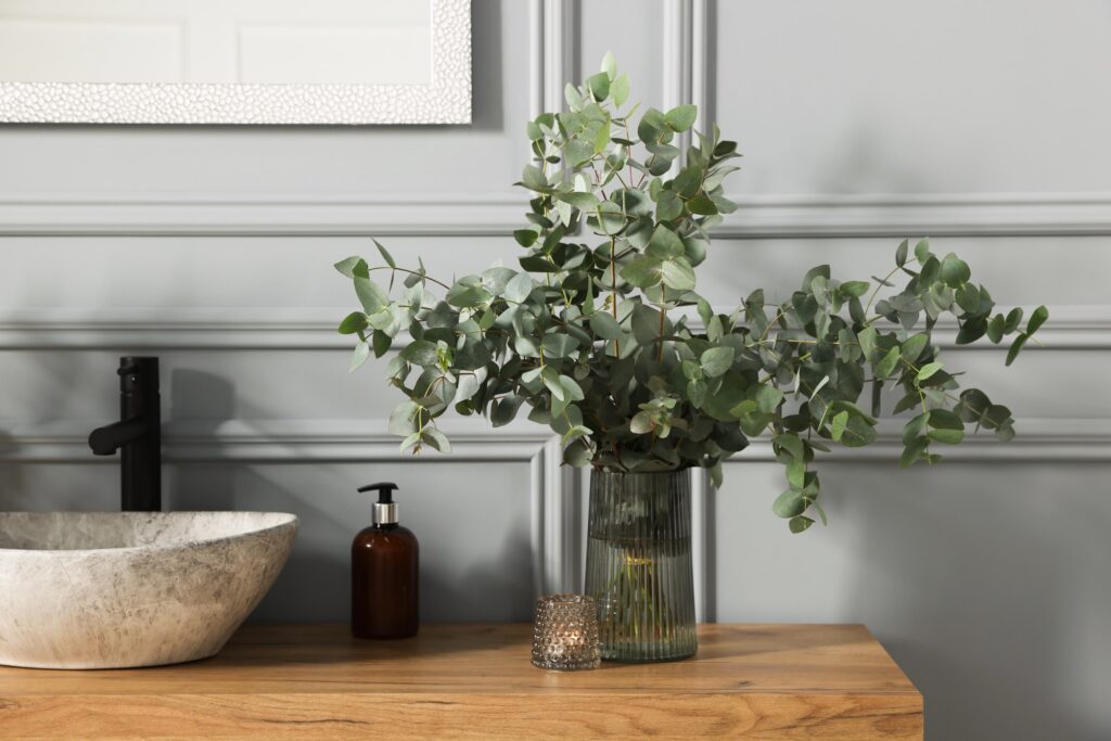 Eucalyptus leaves