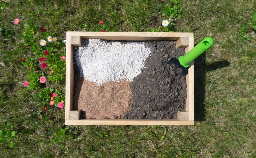 Soil mix for eucalyptus